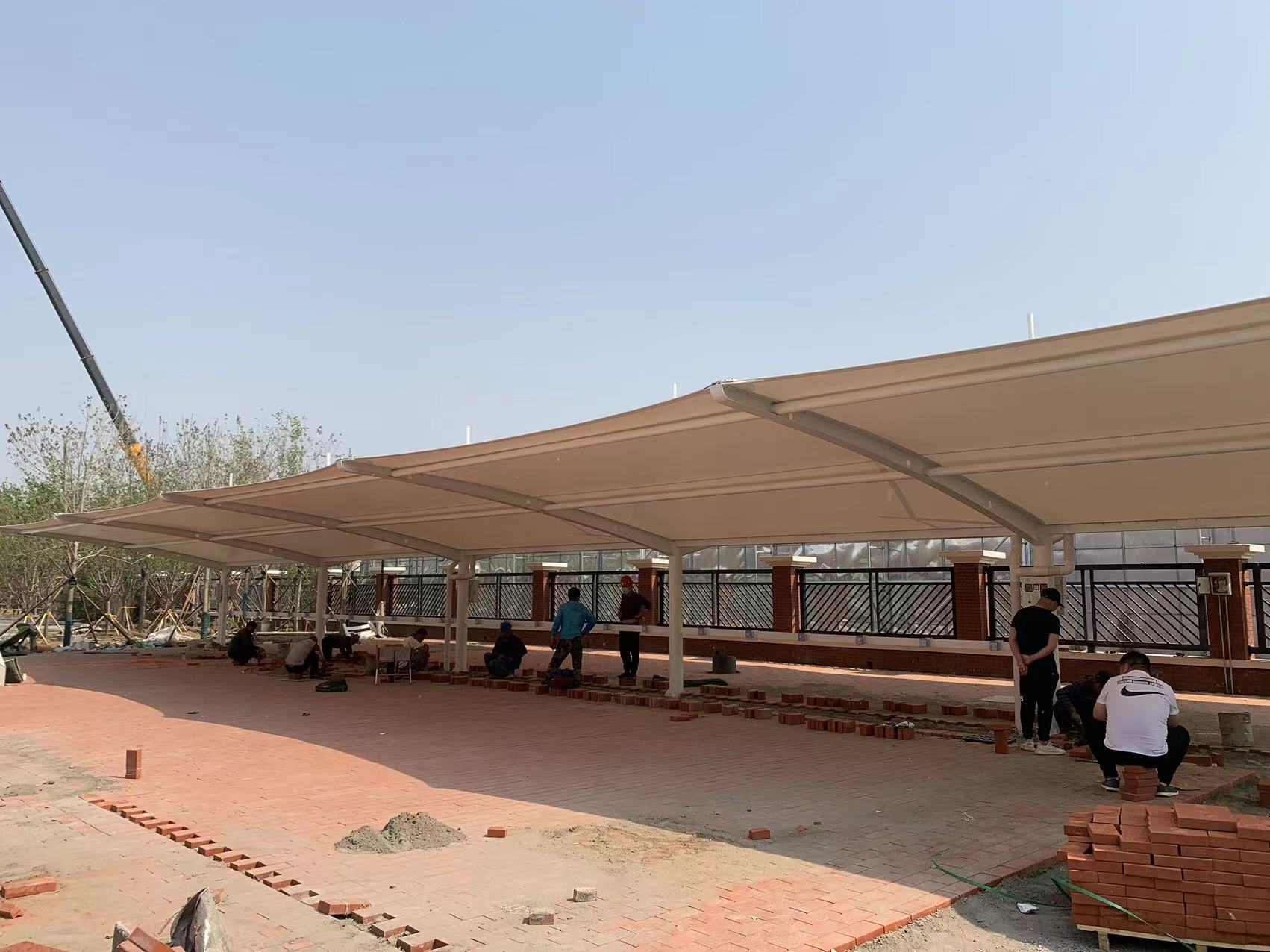 ����Ĥ�ṹ